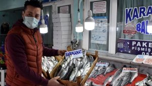 Tekirdağlı balıkçılar, Karadeniz'de 20 ton sarıkanat yakaladı