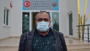 Aksaray Ziraat Odası Başkanı Koçak: 'Beyaz altın' yağıyor