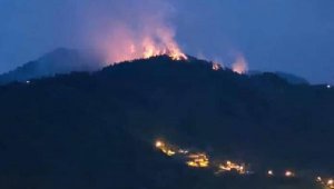 Doğu Karadeniz'de, 4 ilde, 23 noktada yangın; ekipler müdahale ediyor  