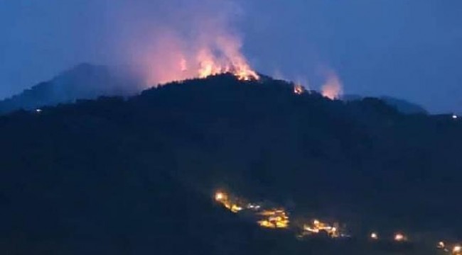 Doğu Karadeniz'de, 4 ilde, 23 noktada yangın; ekipler müdahale ediyor  