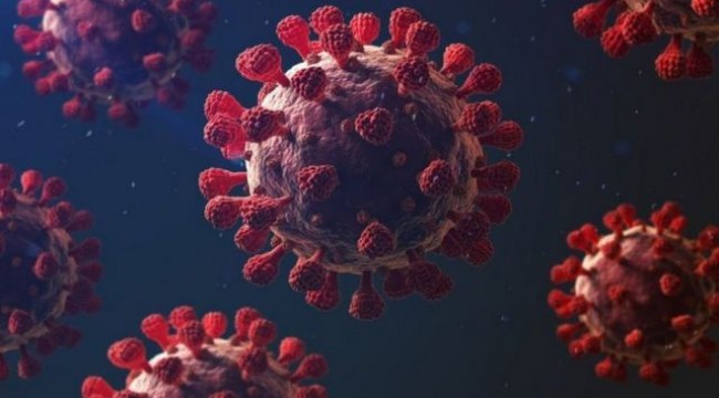 Koronavirüse karşı yeni umut: Aşı gibi etkili