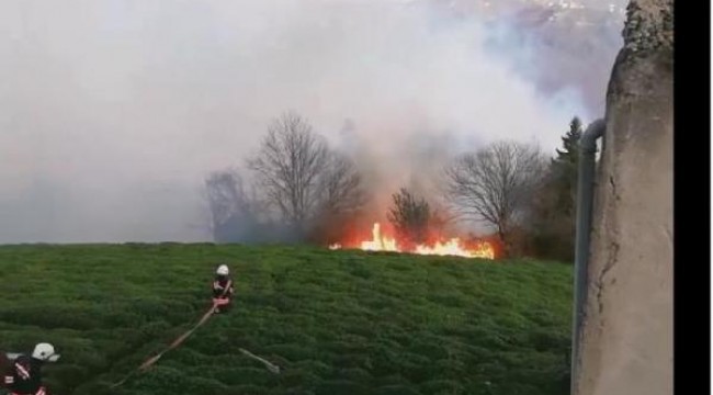 Trabzon'da orman yangını, alevlere müdahale ediliyor