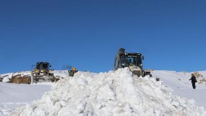 Van'da kar yağışı etkili oldu; 162 yerleşim biriminin yolu kapandı
