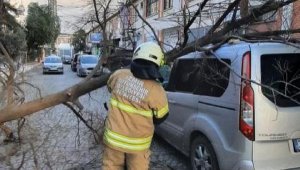 İzmir'de fırtına; ağaçlar devrildi, çatılar uçtu, araçlar zarar gördü