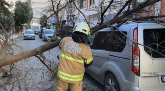 İzmir'de fırtına; ağaçlar devrildi, çatılar uçtu, araçlar zarar gördü