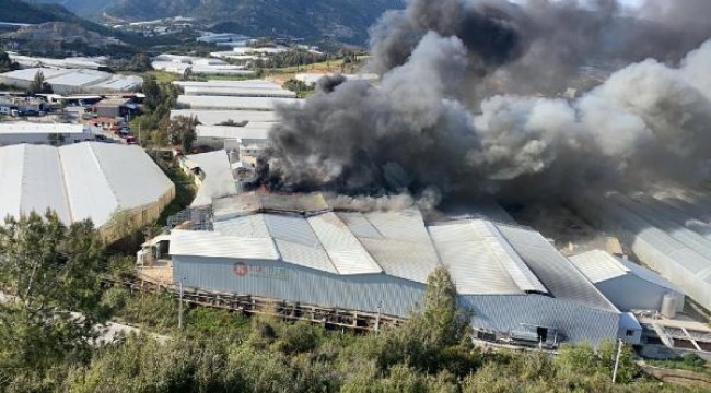 Anamur'da muz sarartma tesisinde yangın