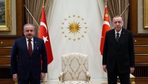 Erdoğan, TBMM Başkanı Şentop ile görüştü