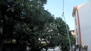 Esenyurt'ta TIR'ın çarptığı ağaç elektrik direğine bağlı kabloların üzerine düştü