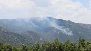 Görese Dağı'nda 5 gün süren orman yangınında 30 hektar alan yandı
