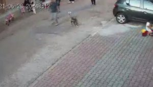 İstanbul'da pitbullun çocuğa saldırdığı dehşet anları güvenlik kamerasında 