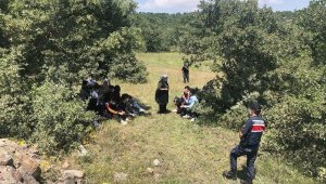 Kaçak göçmenleri İstanbul'dan alıp 'yurt dışı' diye Eskişehir'e bırakmışlar
