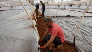 Demre'deki seralarda doğal yöntemle toprak tedavisi: Solarizasyon