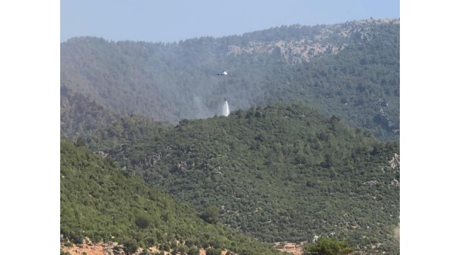 Hassa'daki yangın kontrol altında; 200 hektar alan zarar gördü
