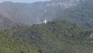 Hassa'daki yangın kontrol altında; 200 hektar alan zarar gördü