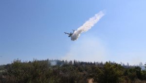 İzmir'de 5 hektarlık ormanlık alan yandı