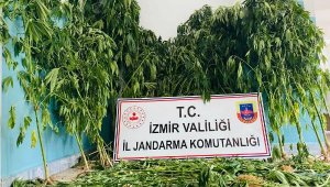 İzmir'in 9 ilçesinde uyuşturucu operasyonu: 12 gözaltı