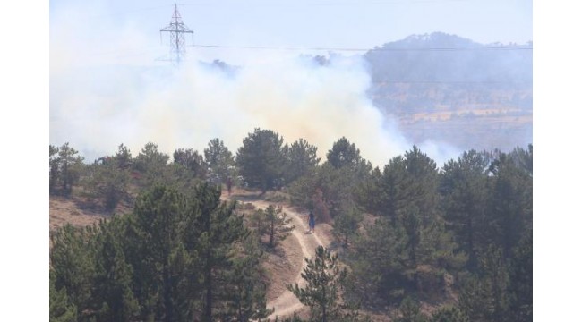 Karaman'da çıkan yangında 5 hektar alan zarar gördü
