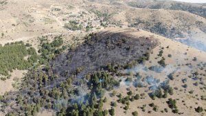 Kırıkkale'de orman yangını