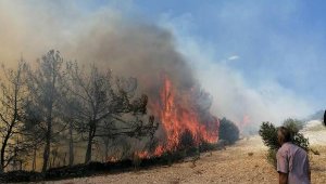 Kula'da zamanında müdahale, orman yangınının büyümesini önledi