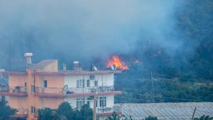 Manavgat'ta 4 ayrı noktada orman yangını