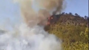 Mersin'in 2 ilçesinde orman yangını