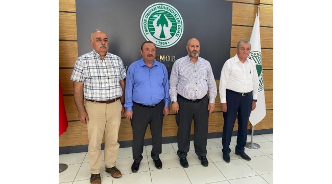Orman Mühendisleri Odası Genel Başkanı Türkyılmaz'dan 'söndürme' çalışmaları açıklaması
