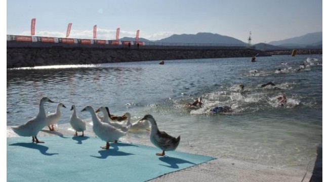 Athletes competed with ducks