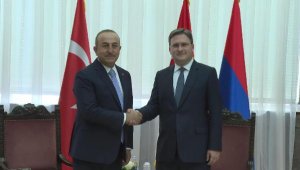 Bakan Çavuşoğlu, Sırbistan Dışişleri Bakanı Selakoviç ile görüştü