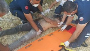 Besni'de arazi kavgası: 1 yaralı, 2 gözaltı