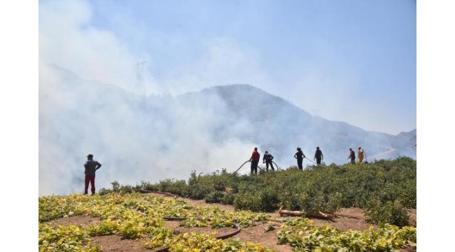 Bitlis'teki örtü yangınına müdahale sürüyor