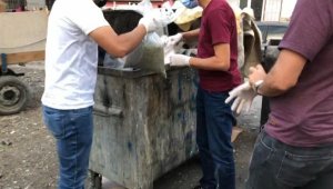 Bursa'da çöp konteynerinde 28 kilo bonzai bulundu