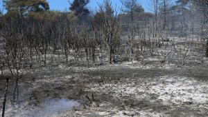Çanakkale'de aynı bölgede 6'ncı orman yangını
