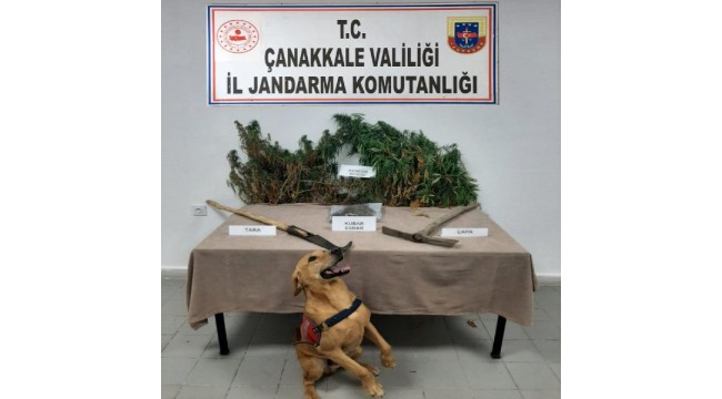 Çanakkale'de uyuşturucu operasyonlarına 2 tutuklama