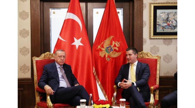 Cumhurbaşkanı Erdoğan, Karadağ Parlamento Başkanı Becic'i kabul etti