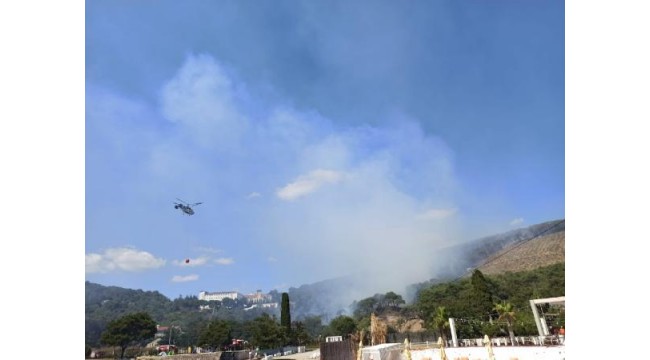 Heybeliada'da orman yangını kontrol altına alındı