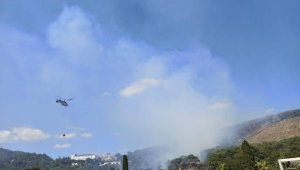 Heybeliada'da orman yangını kontrol altına alındı