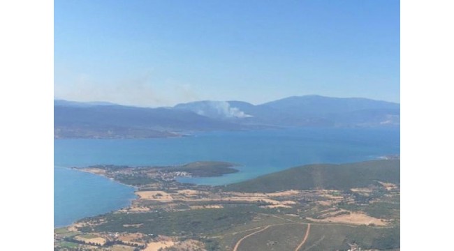 İzmir'de, makilik ve orman yangını