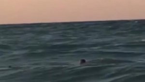 Karaburun'da denize giren adam boğuldu