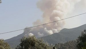 Karacasu'da orman yangını