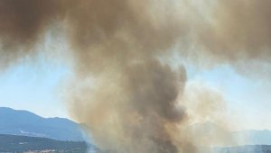 Kaş'ta orman yangını 2 saatte kontrol altına alındı