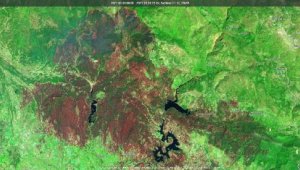 Manavgat, Marmaris ve Milas yangınlarının uydu görüntüsü