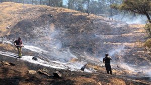 Nazilli'de çıkan orman yangınında 1 hektar alan zarar gördü