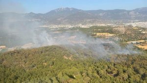 Seydikemer'deki orman yangınında 20 hektar alan zarar gördü