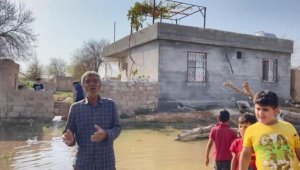 Suruç'ta taban suyu yükseldi, tarla ve evler su altında kaldı