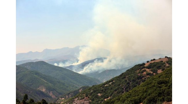 Tunceli'de, aynı bölgede yine örtü yangını çıktı