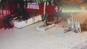 Üsküdar'da sokaktaki kediyi öldüren şüpheli tutuklandı
