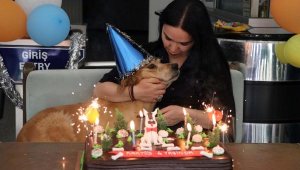 Sahiplenilen sokak köpeği 'Kaktüs' için doğum günü partisi