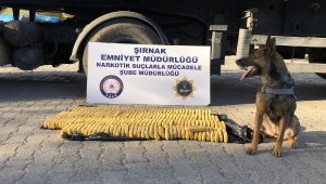 Şırnak'ta kaçakçılık ve asayiş operasyonlarına 5 tutuklama