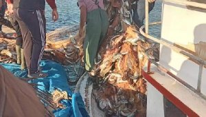 Çanakkaleli balıkçı, 15 bin tane lüfer yakaladı