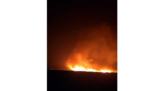 Sultan Sazlığı Milli Parkı'nda 1 ayda 3'üncü yangın